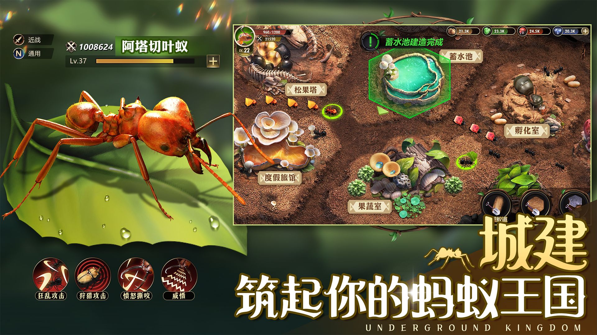 小小蚁国是什么类型的游戏