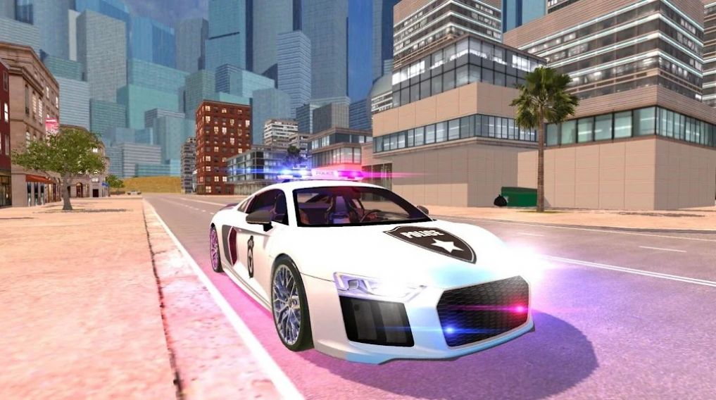 R8警察模拟器